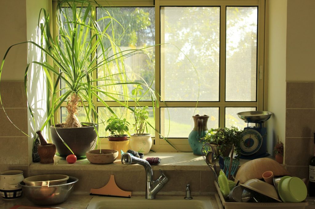 window, kitchen, light-4564161.jpg